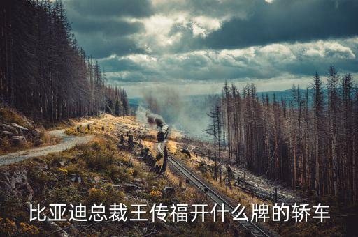 比亞迪總裁王傳福開什么牌的轎車