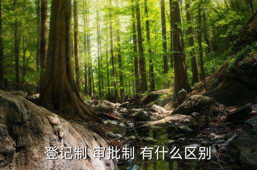 登記制 審批制 有什么區(qū)別