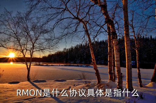 RMON是什么協(xié)議具體是指什么