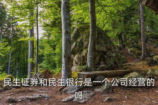 民族證券屬于什么公司，民生證券和民生銀行是一個公司經(jīng)營的嗎