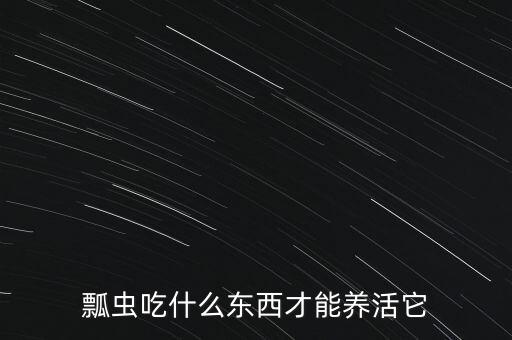 隱士吃什么，請問蜥蜴吃什么