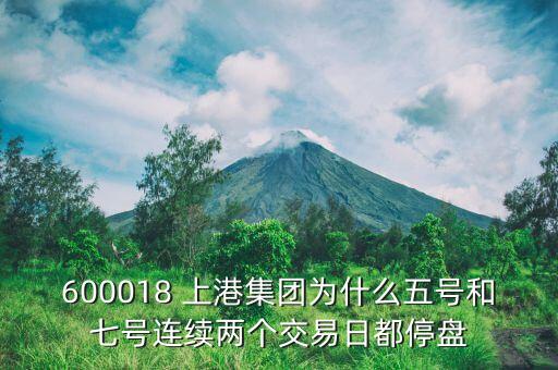 600018 上港集團(tuán)為什么五號(hào)和七號(hào)連續(xù)兩個(gè)交易日都停盤