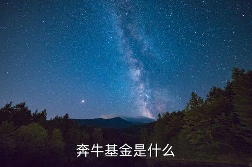 奔牛天地控股是什么意思，奔牛基金是什么