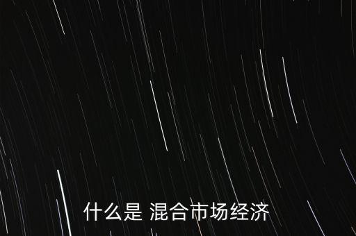 什么是混合經(jīng)濟(jì)，我國的混合經(jīng)濟(jì)有哪些