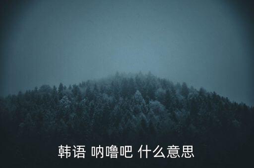 韓語 吶嚕吧 什么意思