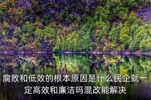 腐敗和低效的根本原因是什么民企就一定高效和廉潔嗎混改能解決