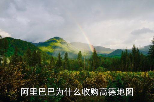 馬云為什么收購(gòu)高德地圖，阿里為什么收購(gòu)高德