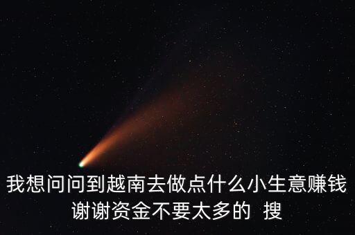 我想問問到越南去做點什么小生意賺錢謝謝資金不要太多的  搜