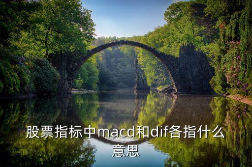 股票指標中macd和dif各指什么意思