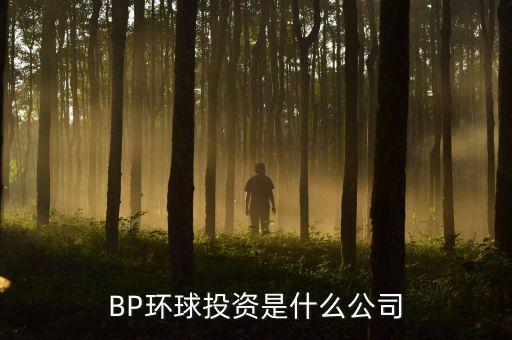 BP環(huán)球投資是什么公司