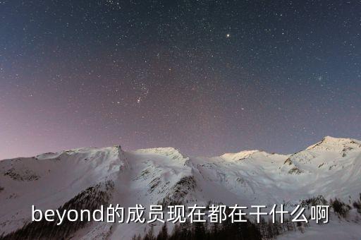 beyond的成員現(xiàn)在都在干什么啊