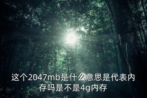 2047代表什么意思，這個2047mb是什么意思是代表內(nèi)存嗎是不是4g內(nèi)存