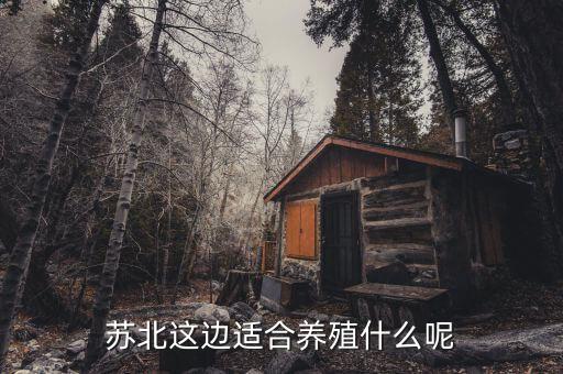 蘇北這邊適合養(yǎng)殖什么呢