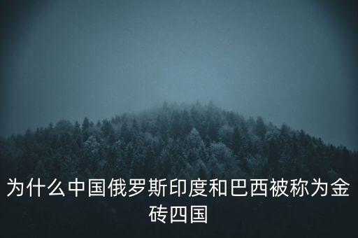 為什么中國俄羅斯印度和巴西被稱為金磚四國