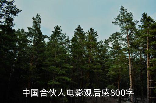 中國合伙人電影觀后感800字