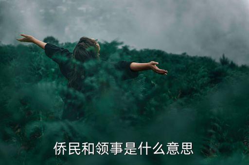 僑民和領(lǐng)事是什么意思