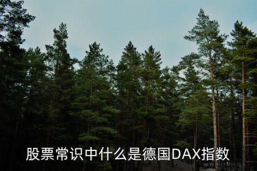 股票常識(shí)中什么是德國(guó)DAX指數(shù)