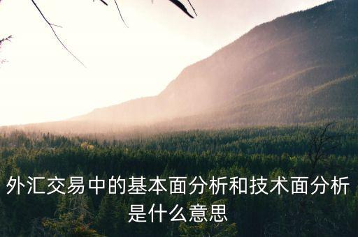 外匯交易中的基本面分析和技術(shù)面分析是什么意思