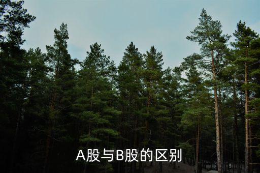 A股與B股的區(qū)別