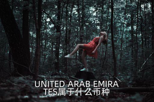 UNITED ARAB EMIRATES屬于什么幣種