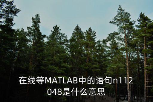 在線等MATLAB中的語句n112048是什么意思