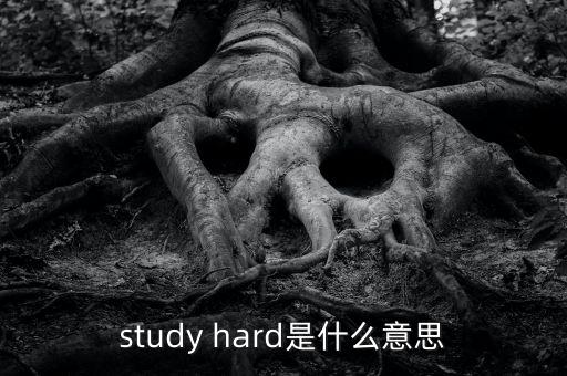 study hard是什么意思