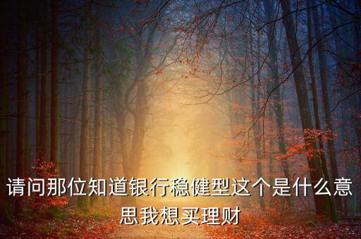 請(qǐng)問(wèn)那位知道銀行穩(wěn)健型這個(gè)是什么意思我想買(mǎi)理財(cái)