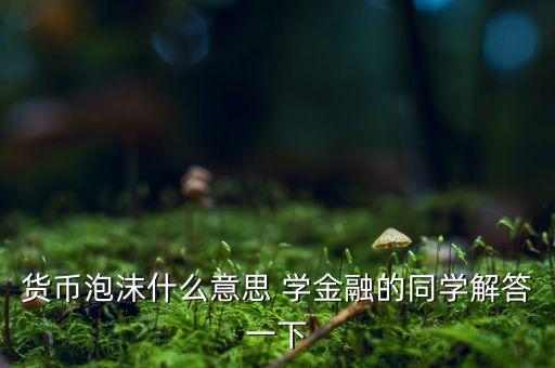 貨幣泡沫什么意思 學(xué)金融的同學(xué)解答一下