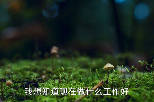 薄望知現(xiàn)在干什么工作，我想知道現(xiàn)在做什么工作好