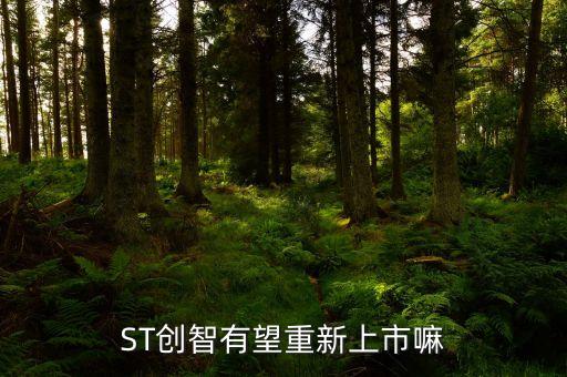 ST創(chuàng)智有望重新上市嘛