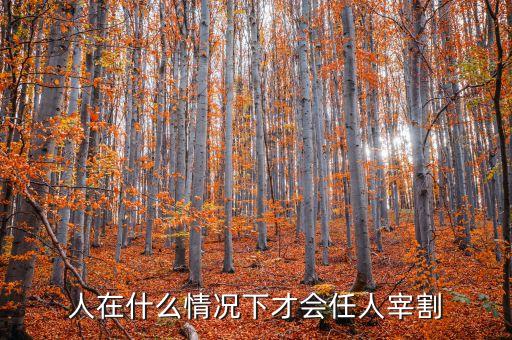 人在什么情況下才會(huì)任人宰割