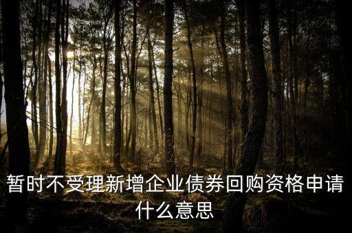 暫時不受理新增企業(yè)債券回購資格申請什么意思