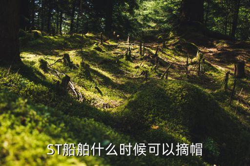 ST船舶什么時(shí)候可以摘帽