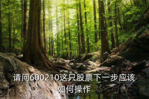 請問600210這只股票下一步應(yīng)該如何操作