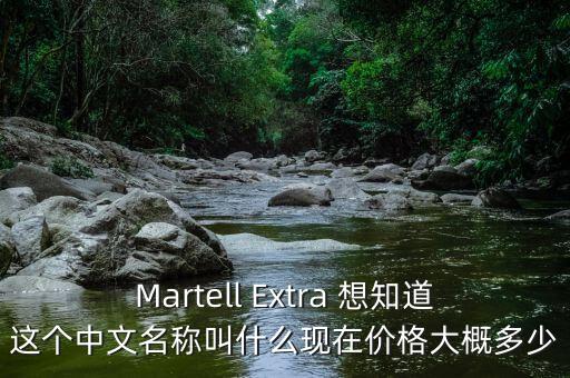 力源液壓現(xiàn)在叫什么，Martell Extra 想知道這個(gè)中文名稱(chēng)叫什么現(xiàn)在價(jià)格大概多少