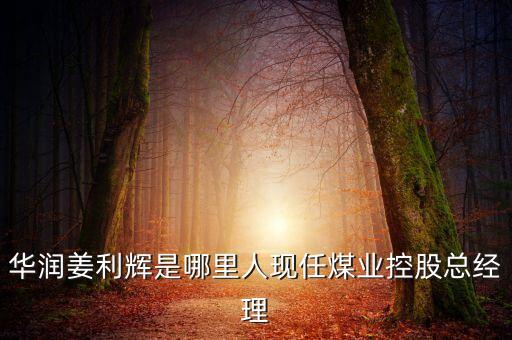 華潤姜利輝是哪里人現(xiàn)任煤業(yè)控股總經(jīng)理