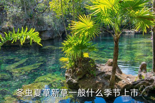 冬蟲夏草什么時(shí)候上市，哪幾家上市公司賣冬蟲夏草