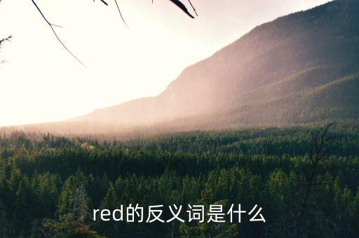 負(fù)債和虧損是什么意思，red反義詞是什么