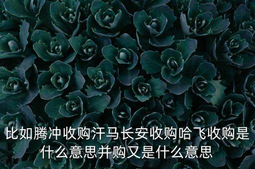 長安為什么收購哈飛，比如騰沖收購汗馬長安收購哈飛收購是什么意思并購又是什么意思