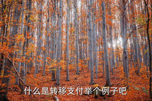 什么是轉(zhuǎn)移支付舉個(gè)例子吧