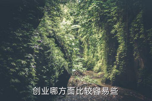 創(chuàng)業(yè)哪方面比較容易些