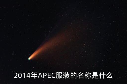 apec穿什么，apec會(huì)議在中國(guó)開(kāi)過(guò)幾次當(dāng)時(shí)的首腦會(huì)議穿的是什么服裝