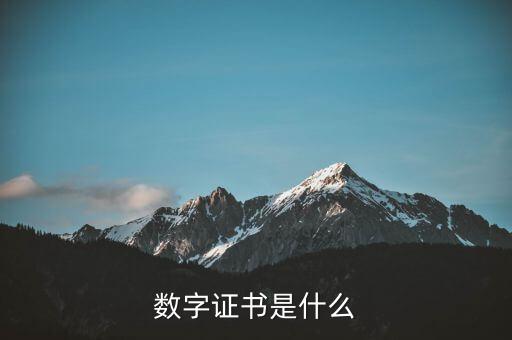 數(shù)字證書是什么