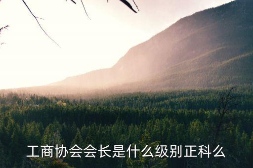 工商協(xié)會(huì)會(huì)長(zhǎng)是什么級(jí)別正科么