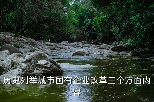 地方國(guó)企改革什么，國(guó)企改革到底要改什么東西啊簡(jiǎn)單點(diǎn)的回答就好