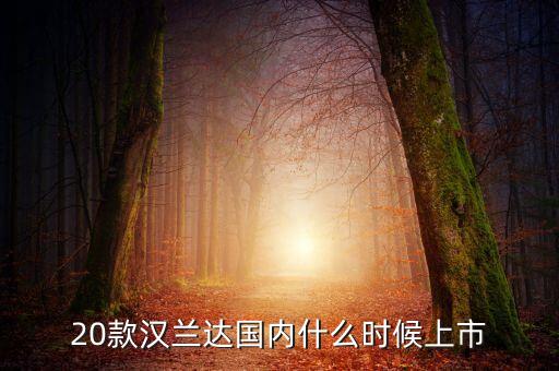 漢蘭達(dá)什么時(shí)候換代，漢蘭達(dá)下次換代是什么時(shí)候