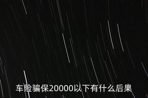 車險騙保20000以下有什么后果