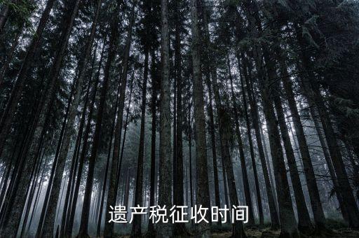 遺產(chǎn)稅征收時(shí)間