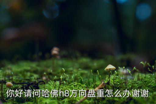 你好請(qǐng)問哈佛h8方向盤重怎么辦謝謝