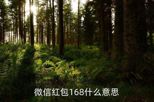 包紅包168代表什么，微信紅包168什么意思